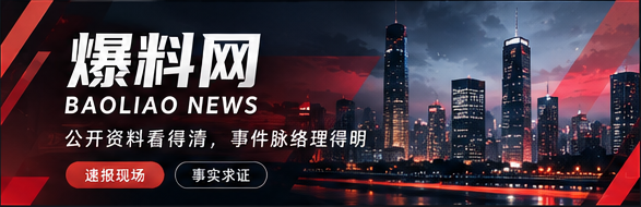 爆料网 · 公开资料与事件脉络